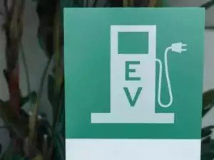 EVs development, adoption to play major role in India's transition to low carbon economy: DPIIT Secy