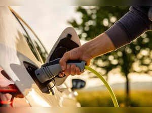 Delhi, Maha, Haryana, UP have most comprehensive EV policies: Report