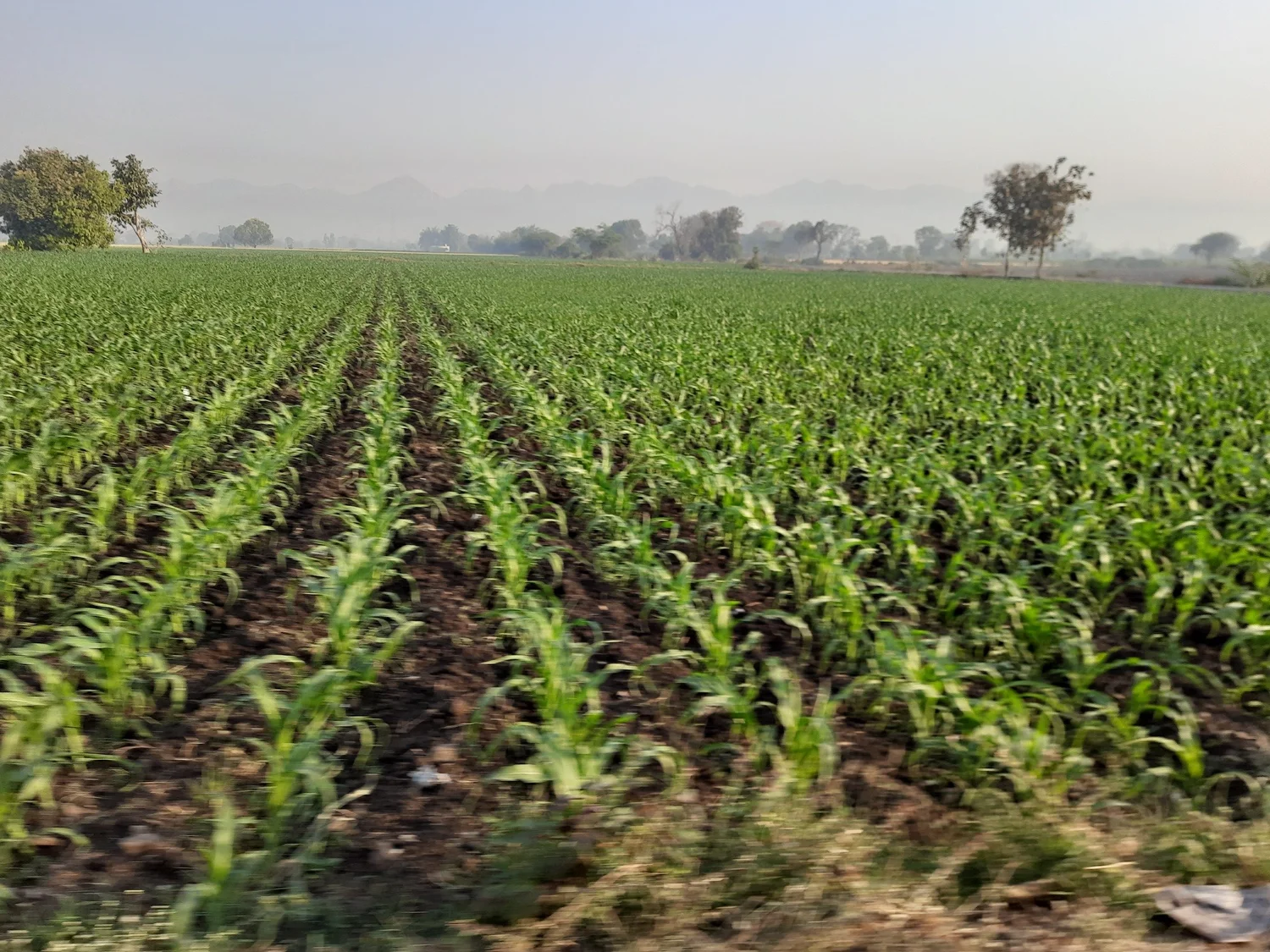 GRVC field photo